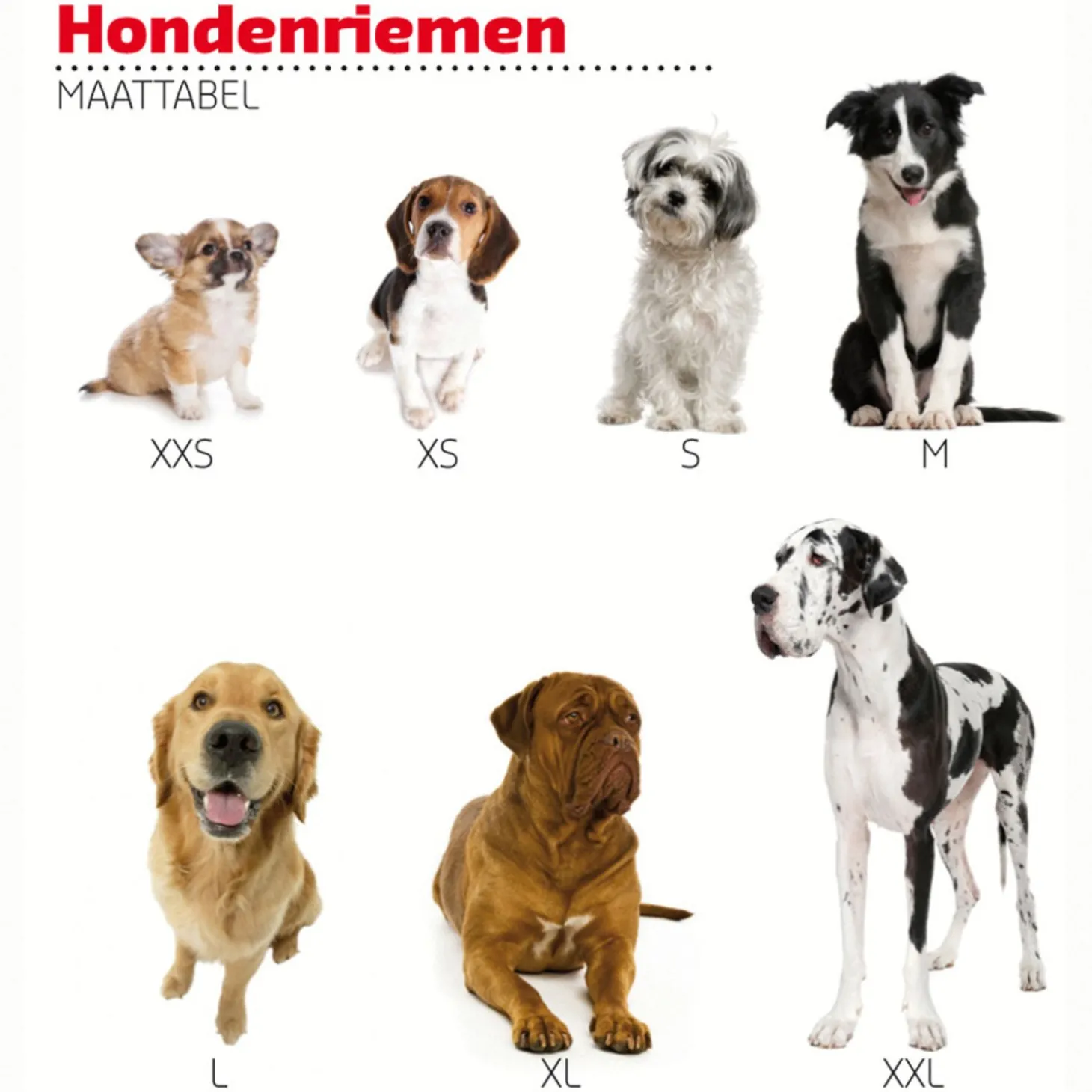 Adori Traininglijn Nylon Rood - Hondenriem