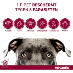 Advantix Spot On 100 1 ml - Anti vlooien en tekenmiddel