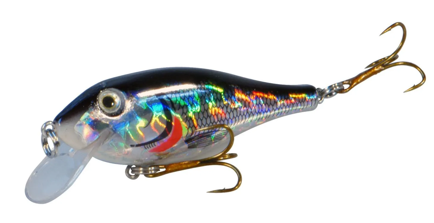 Albatros Plug Fat Belly 8 cm - Pluggen