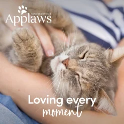 Applaws Cat Adult - Kattenvoer - Kip 2 kg