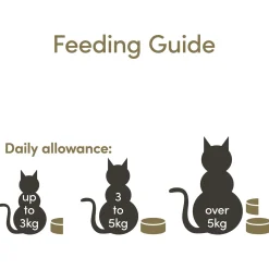 Applaws Cat Blik - Kattenvoer - Tonijnfilet Kaas 156 g