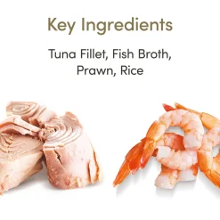 Applaws Cat Blik Tuna Fillet & Prawn - Kattenvoer - 70 g