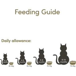 Applaws Cat Kitten - Kitten-Kattenvoer - 7.5 kg