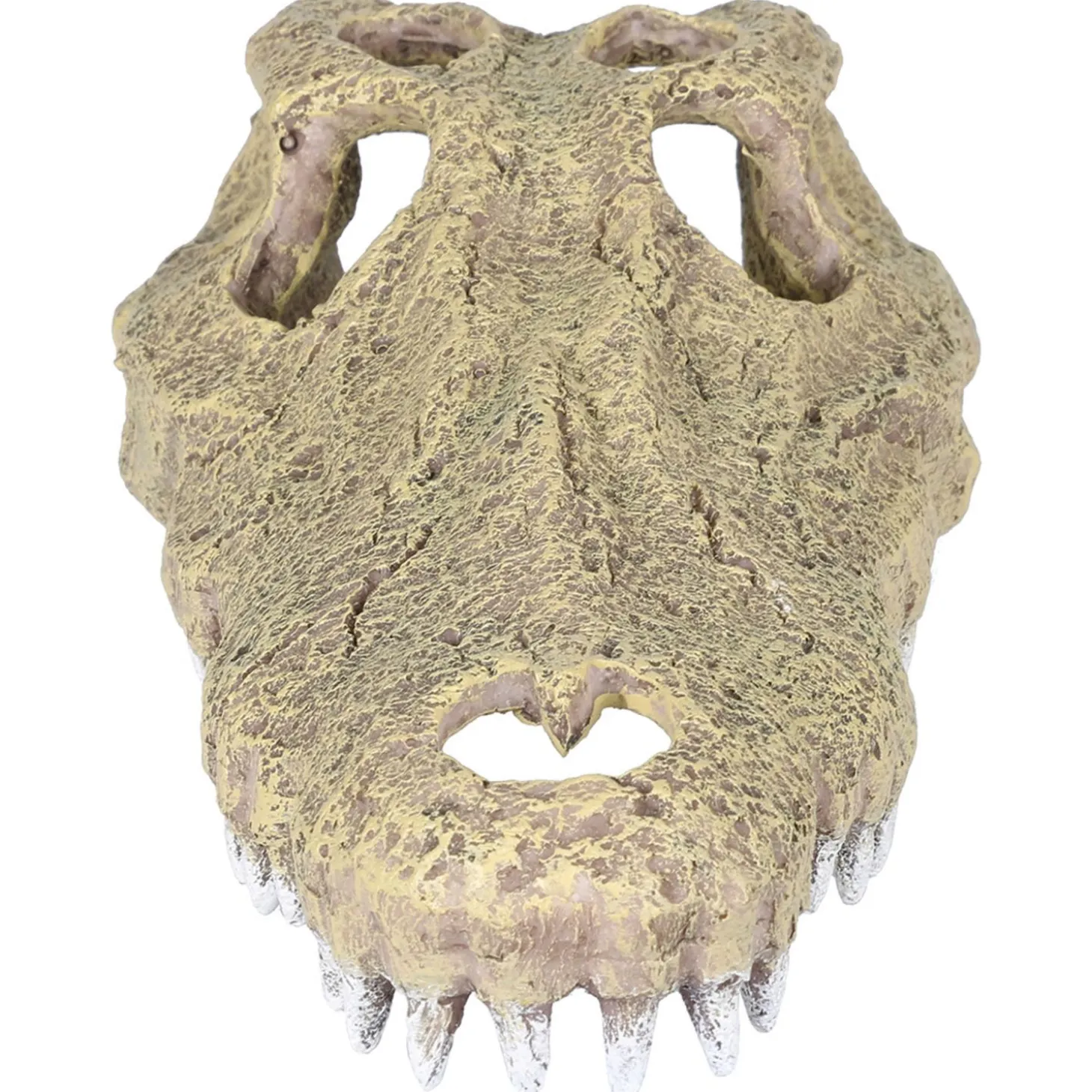Aqua Della Krokodil Schedel - Aquarium - Ornament - 28.5x14.5x8 cm