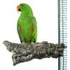 Back Zoo Nature Corky Chew - Vogelspeelgoed - 20x10 cm Large