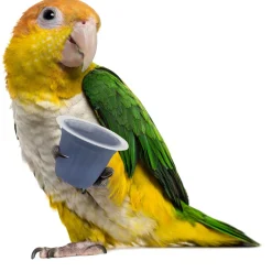 Back Zoo Nature Fruit Cups - Vogelsnack - Blauwe Bes 6 stuks