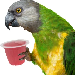 Back Zoo Nature Fruit Cups - Vogelsnack - Aardbei 6 stuks
