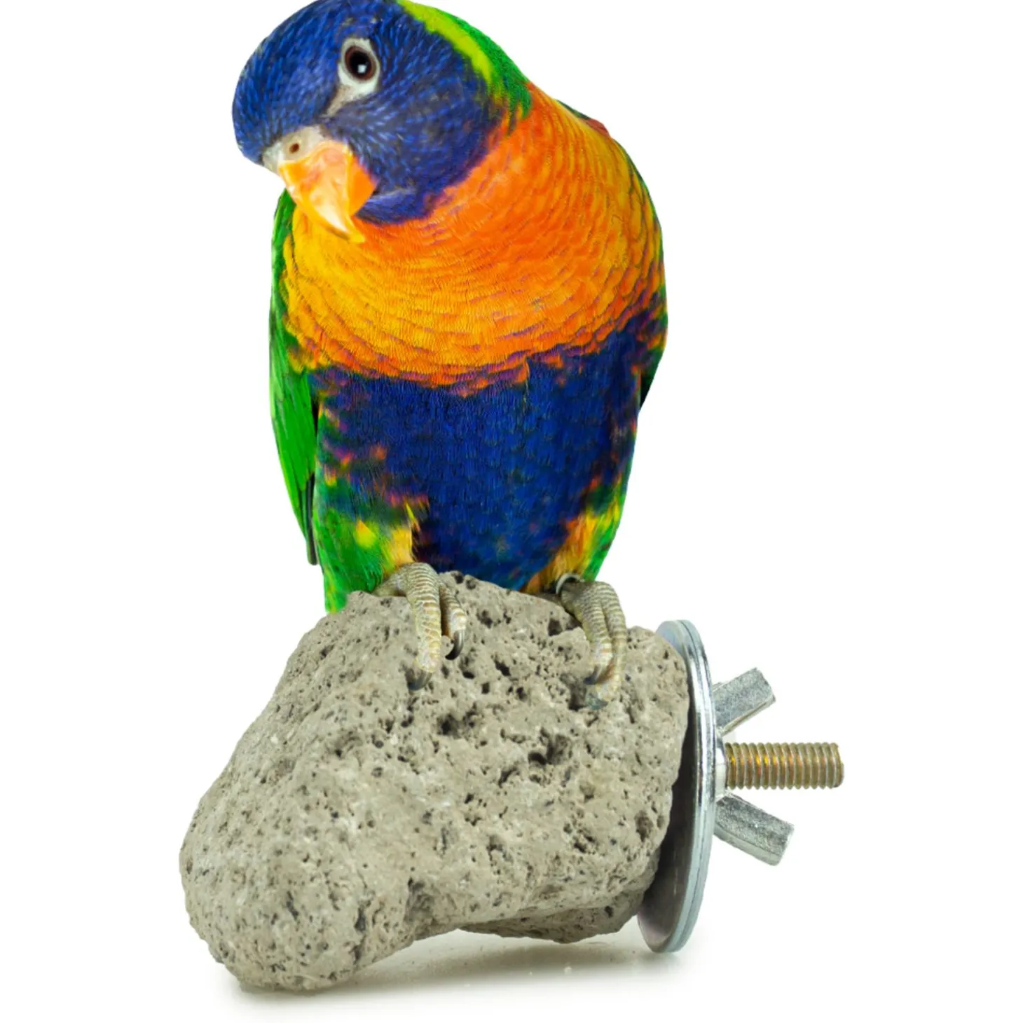 Back Zoo Nature Java Lava Stone - Vogelaccessoires - 8x8 cm