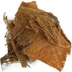 Back Zoo Nature Palm Bark - Natuurlijk Speelgoed - per stuk