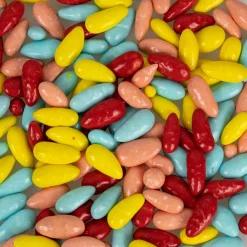 Back Zoo Nature Sunflower Seeds Treat - Vogelsnack - 100 g