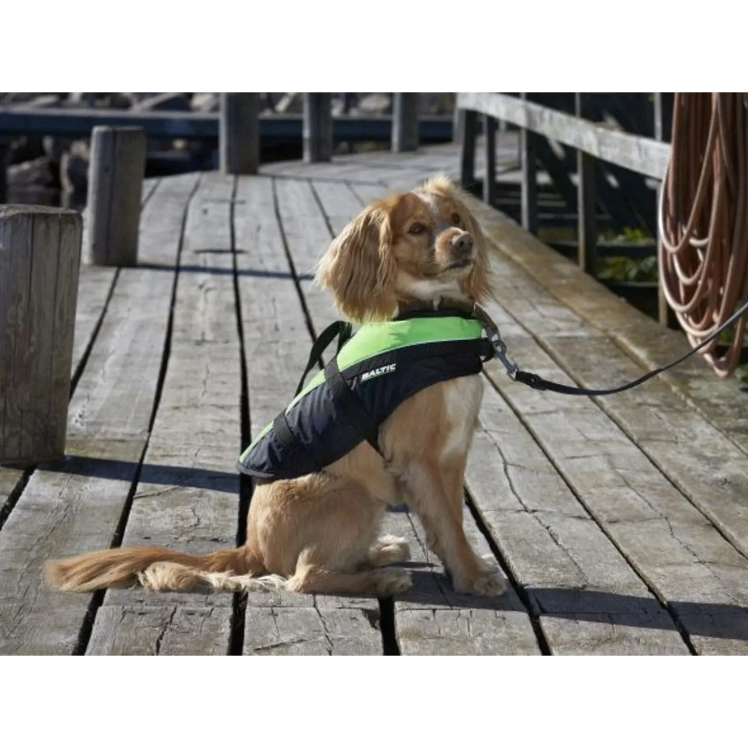 Baltic Hondenzwemvest Mascot - Reddingsvest - Oranje Zwart Xs