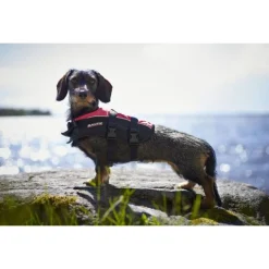Baltic Hondenzwemvest Mascot - Reddingsvest - Zwart Geel Xs