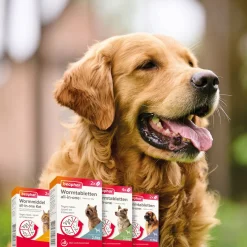 Beaphar Wormtablet All In One Hond Rund - Anti wormenmiddel