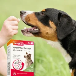 Beaphar Wormtablet All In One Hond Rund - Anti wormenmiddel