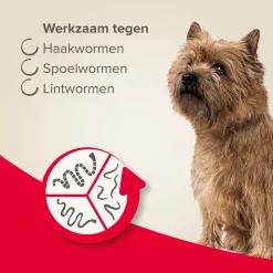 Beaphar Wormtablet All In One Hond Rund - Anti wormenmiddel