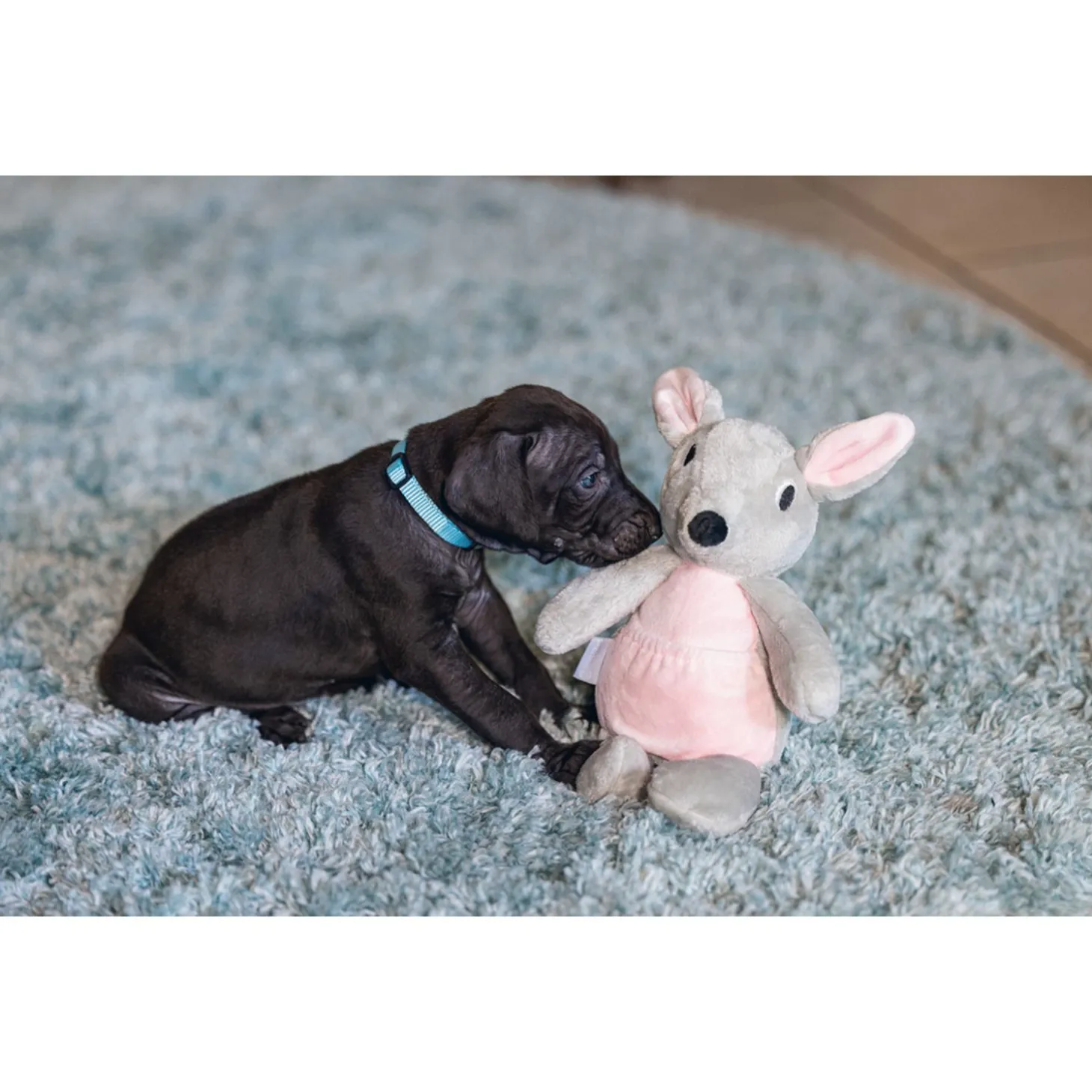 Beeztees Puppy Kangoeroe Ravi - Hondenspeelgoed - 31x16x16 cm 88 g Grijs