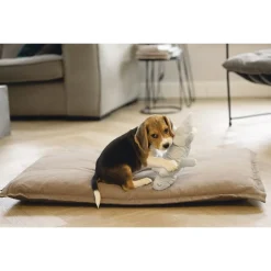Beeztees Puppy Krokodil Jake - Hondenspeelgoed - 32x18x8 cm 65 g Groen