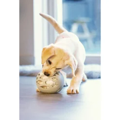 Beeztees Puppy Speelbal Odoro - Hondenspeelgoed - Groen