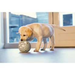 Beeztees Puppy Speelbal Odoro - Hondenspeelgoed - Groen