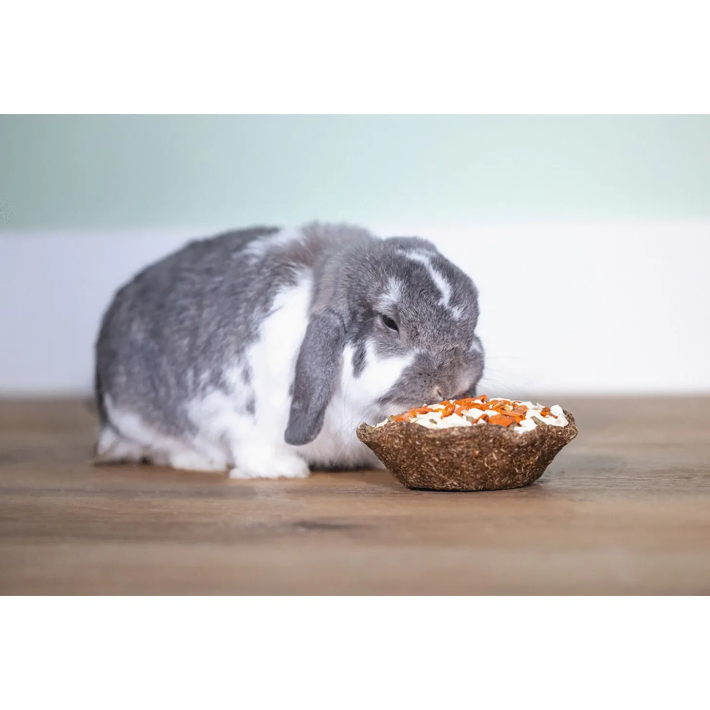 Beeztees Saladebakje - Knaagdiersnack - Wortel Pastinaak 115 g