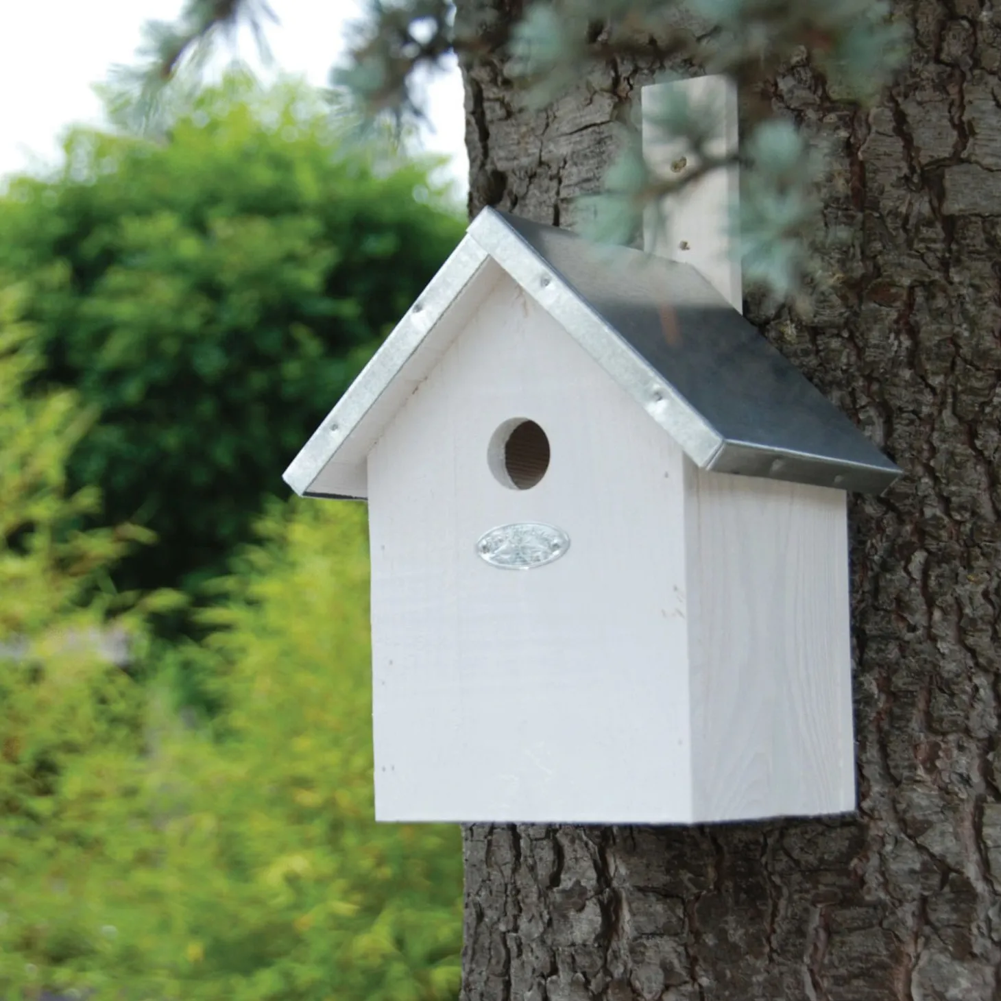 Best For Birds Nestkast Pimpelmees - Broeden - 18x19.2x31.2 cm Wit