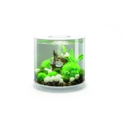 Biorb Aquarium Tube 15 Mcr - Aquaria - 15 l Wit