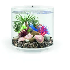 Biorb Aquarium Tube 15 Mcr - Aquaria - 15 l Wit