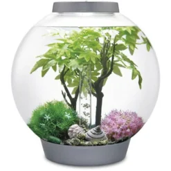 Biorb Decor Set Zomer - Aquarium - Ornament - 30 l Groen Lichtroze Beige