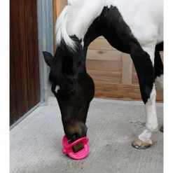Bizzy Lick Bizzy Bal - Liksteenhouder - Paardenspeelgoed -