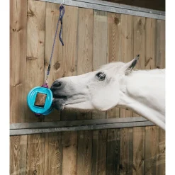 Bizzy Lick Bizzy Bal - Liksteenhouder - Paardenspeelgoed -