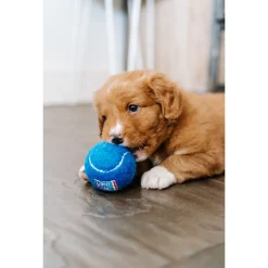 Carocroc Puppypakket Large - Hondenvoer - Gevogelte Vlees Rijst 1.5 kg Pups