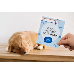 Carocroc Puppypakket Large - Hondenvoer - Gevogelte Vlees Rijst 1.5 kg Pups