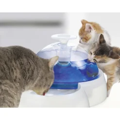 Catit Drinkfontein Met Eetbak - Kattendrinkbak - 3 l