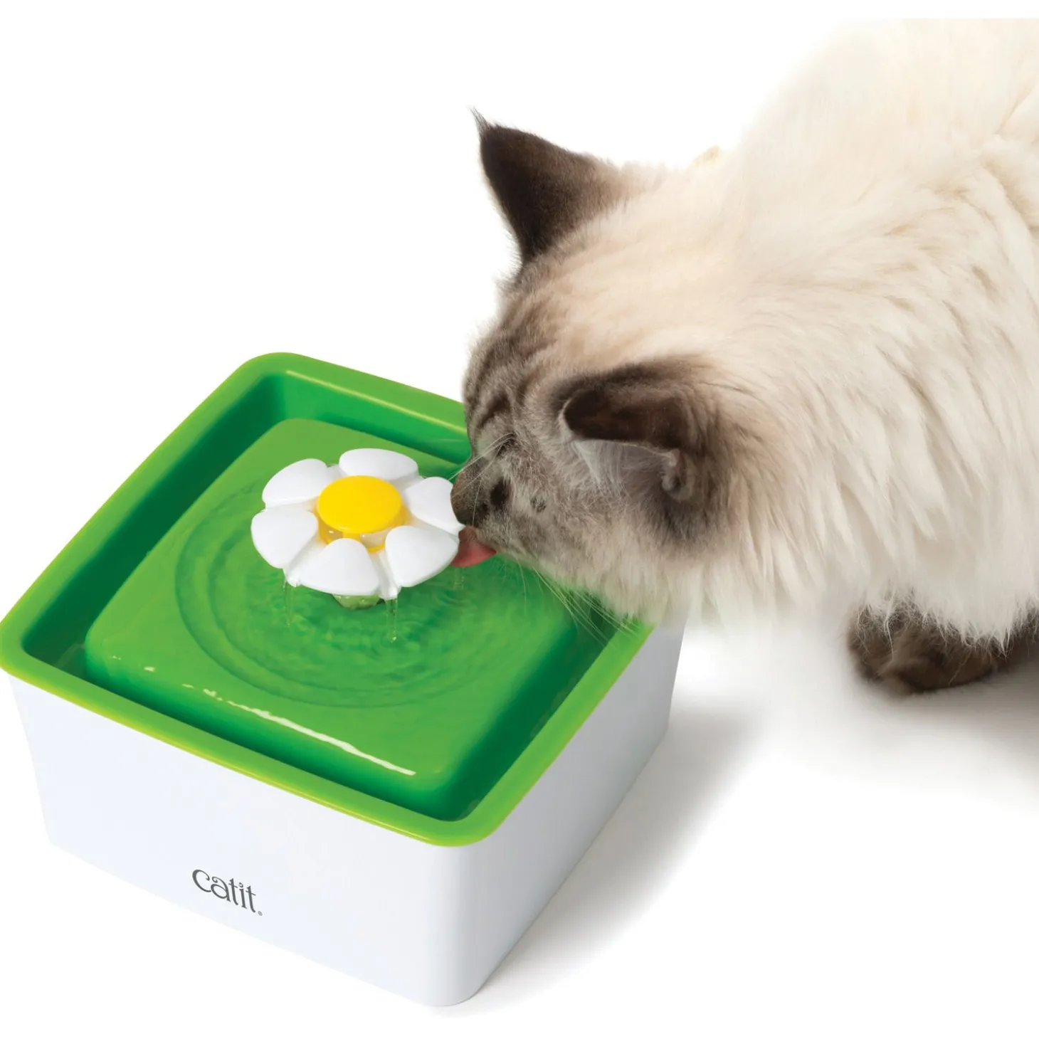 Catit Drinkfontein Mini Bloem Senses - Kattendrinkbak - Ø18.2x12 cm 1.5 l Wit Groen Mini