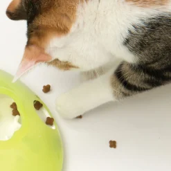 Catit Play Treat Spinner - Kattenspeelgoed - Ø19.5x5.8 cm Wit Groen
