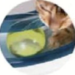 Catit Senses Play Circuit - Kattenspeelgoed - per stuk