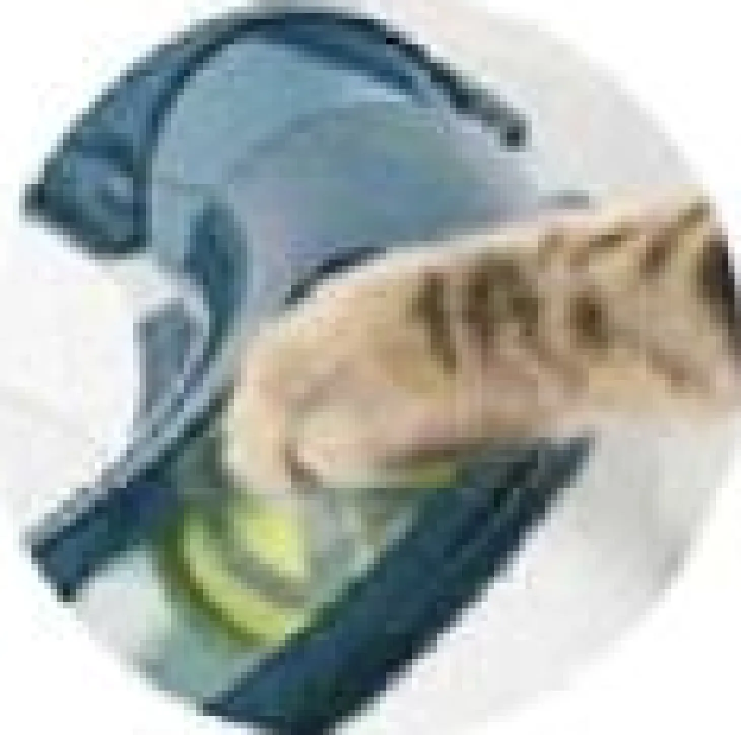Catit Senses Play Circuit - Kattenspeelgoed - per stuk