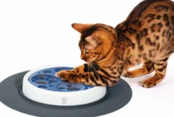 Catit Senses Scratch Pad - Kattenspeelgoed - per stuk