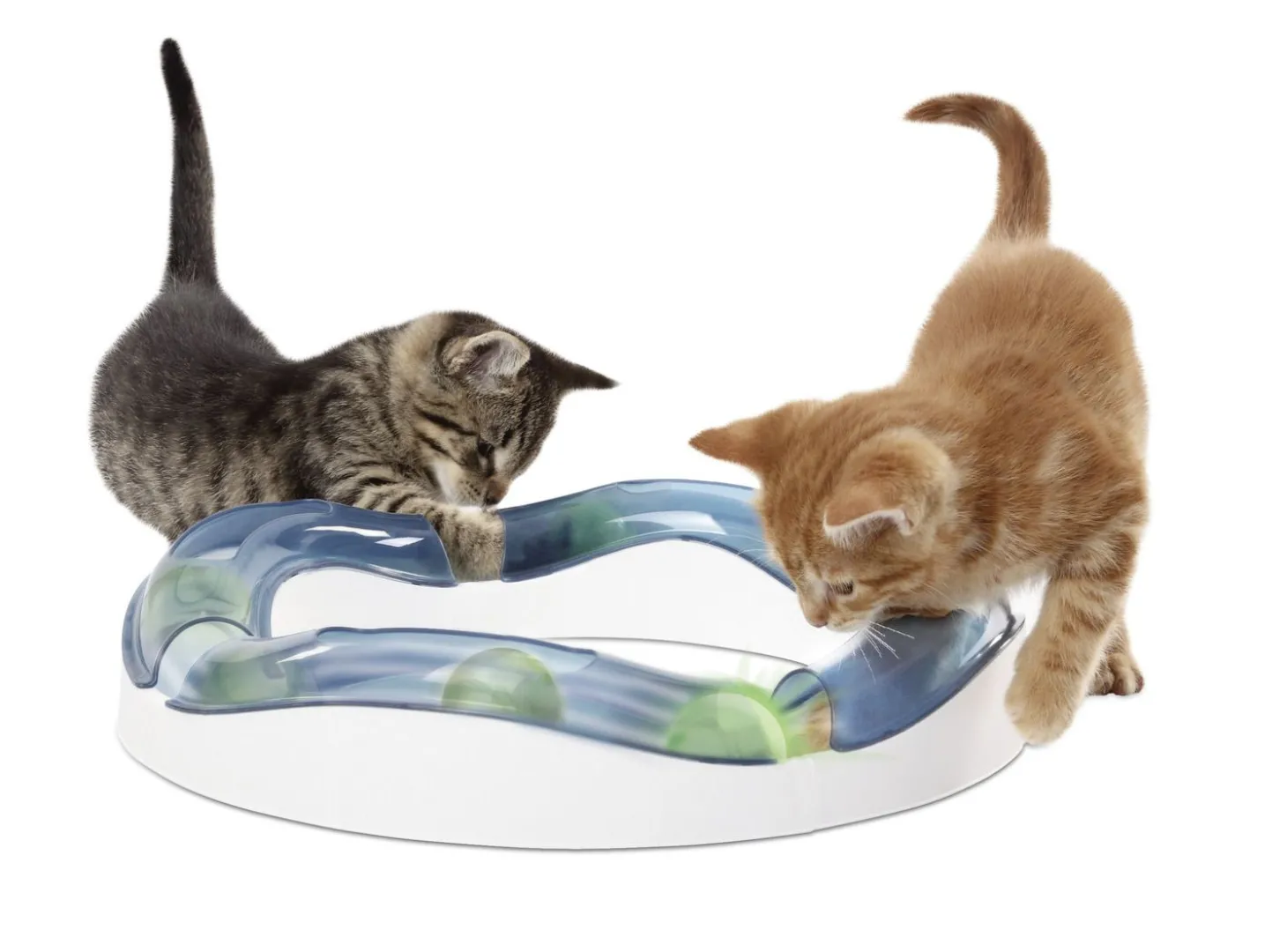 Catit Senses Speed Circuit - Kattenspeelgoed - per stuk