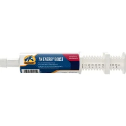 Cavalor Energy Booster Electrolyten - Voedingssupplement - 60 g Pasta