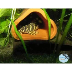 Ceramicnature Leghol Driehoek - Aquarium - Ornament - 16.5x6x4.5 cm Bruin L