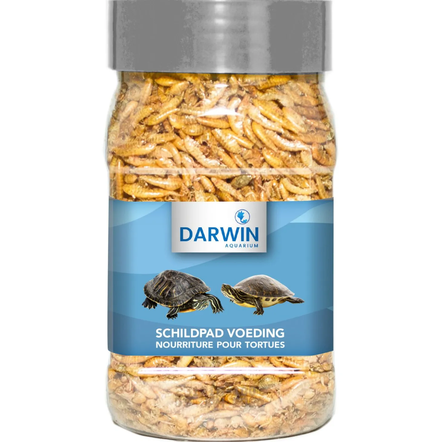 Darwin Schildpad Voeding - Voer