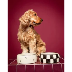 Dogguo Block Dogbowl - Voer & Drinkbak - Ø20x9 cm Beige Zwart M