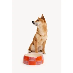 Dogguo Block Dogbowl Oranje&Pink - Hondenvoerbak