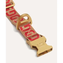 Dogguo Collar - Hondenhalsband - 28-40 cm Mokka Rood S