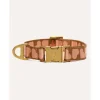 Dogguo Collar - Hondenhalsband - 22-36 cm Bruin Abrikoos Xs