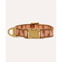 Dogguo Collar - Hondenhalsband - 22-36 cm Bruin Abrikoos Xs