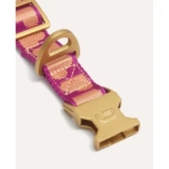 Dogguo Collar - Hondenhalsband - 22-36 cm Magenta Abrikoos Xs