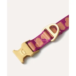 Dogguo Collar - Hondenhalsband - 22-36 cm Magenta Abrikoos Xs
