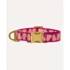 Dogguo Collar - Hondenhalsband - 42-68 cm Magenta Abrikoos L